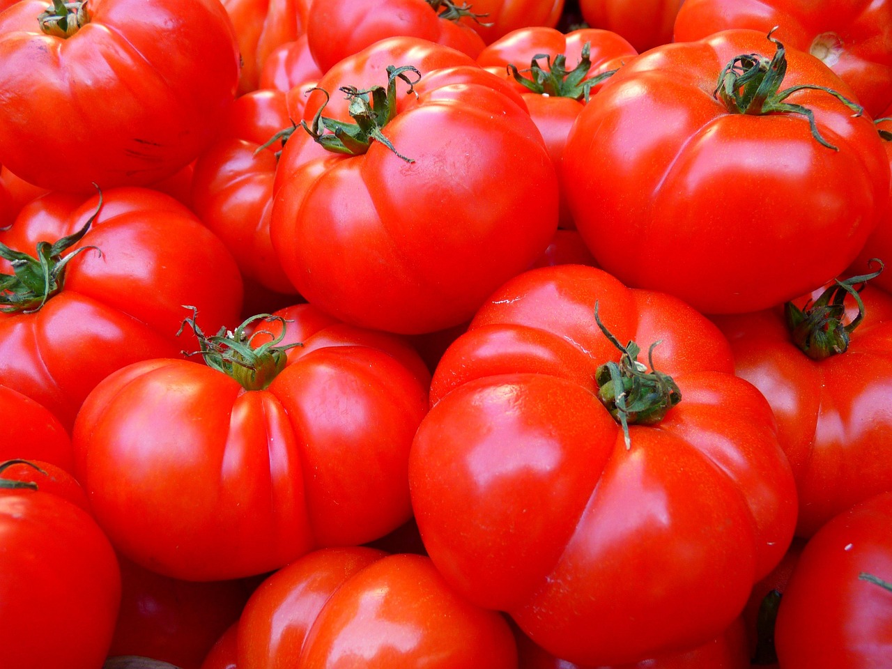 Pomodori perfetti tutto l’anno: il metodo (quasi segreto) dei contadini del Sud