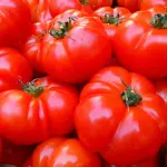 Pomodori perfetti tutto l’anno: il metodo (quasi segreto) dei contadini del Sud