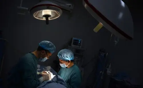 Cina, trapianti di testa sui roditori: primi risultati positivi