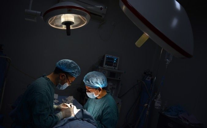 Cina, trapianti di testa sui roditori: primi risultati positivi