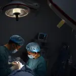 Cina, trapianti di testa sui roditori: primi risultati positivi