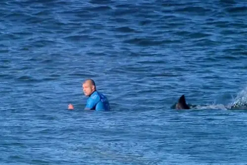 Surf, Mick Fanning attaccato da squali a Jeffreys Bay: sopravvissuto