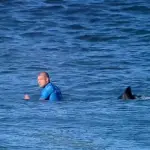 Surf, Mick Fanning attaccato da squali a Jeffreys Bay: sopravvissuto