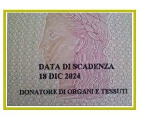 Donare organi: scelta menzionata sulla carta d'identità