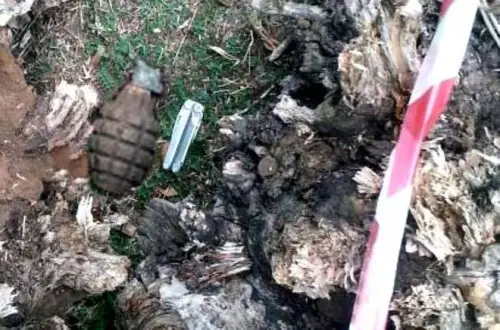 Velletri, cane trova ordigno Seconda Guerra Mondiale: artificieri lo fanno brillare