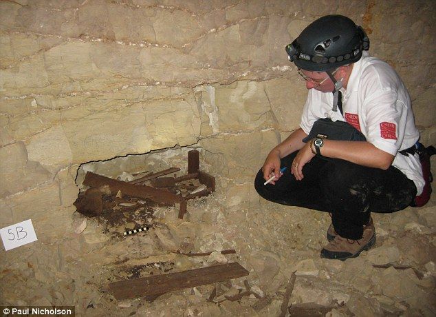 Egitto: archeologi scoprono 8 milioni di cani mummificati