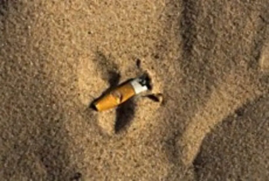 Getta la sigaretta in spiaggia: maxi multa a turista tedesco