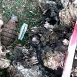 Velletri, cane trova ordigno Seconda Guerra Mondiale: artificieri lo fanno brillare