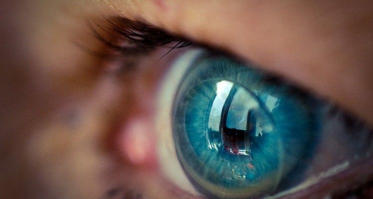 Password addio, lenti a contatto scansioneranno iride: Google deposita brevetto