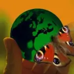 Giornata Mondiale dell'Ambiente: iniziative a Expo 2015