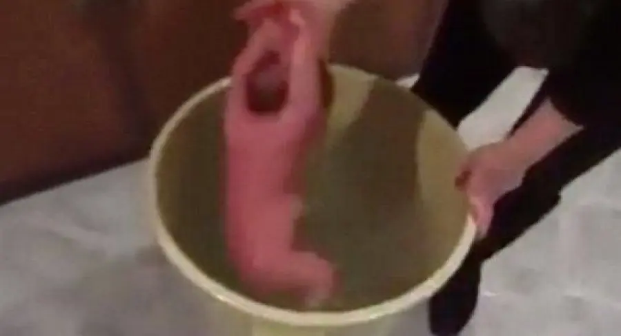 Facebook rimuove video virale: madre mette neonato in secchio d'acqua