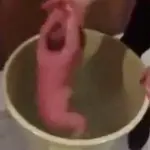 Facebook rimuove video virale: madre mette neonato in secchio d'acqua