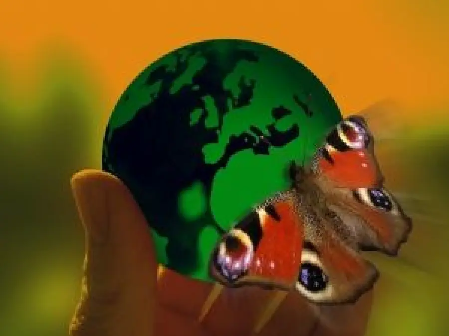 Giornata Mondiale dell'Ambiente: iniziative a Expo 2015