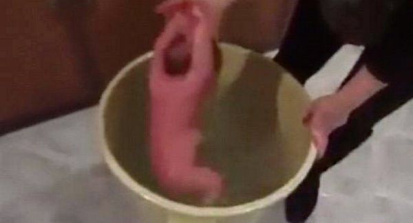 Facebook rimuove video virale: madre mette neonato in secchio d'acqua