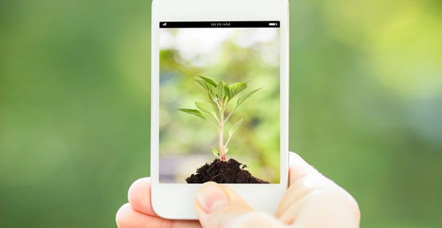 Produrre smartphone danneggia ambiente: servono 13 tonnellate d'acqua per device