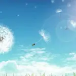 Allergie alle graminacee? Andate a vivere al mare o in campagna