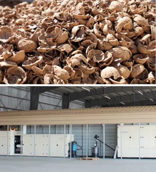 Cambiamenti climatici: gusci di noci trasformati in energia 'pulita'