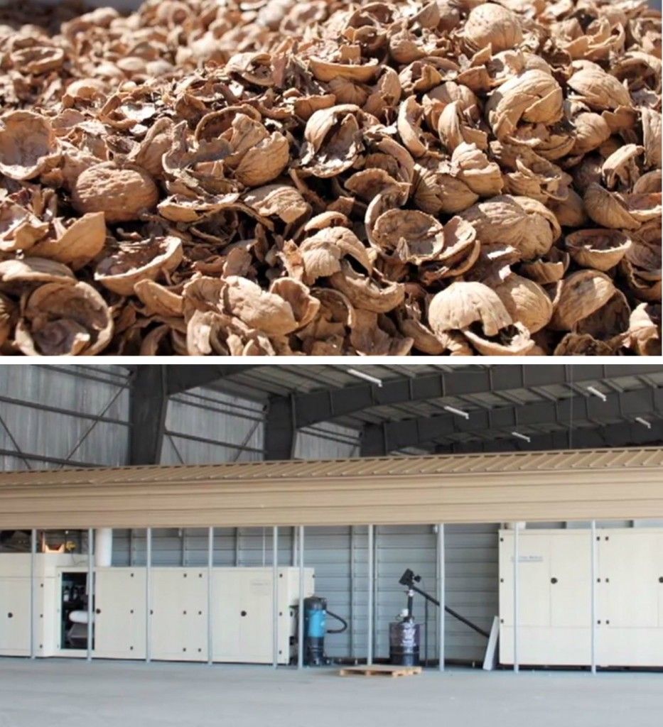 Cambiamenti climatici: gusci di noci trasformati in energia 'pulita'