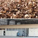 Cambiamenti climatici: gusci di noci trasformati in energia 'pulita'