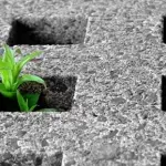 Rapporto Ispra: cementificazione dilaga, fagocitato 20% coste italiane