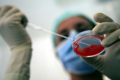 Tar Veneto ammette donne over 43 a fecondazione eterologa