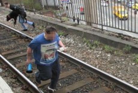 Lega il cane ai binari per farlo investire: salvato da uno sconosciuto