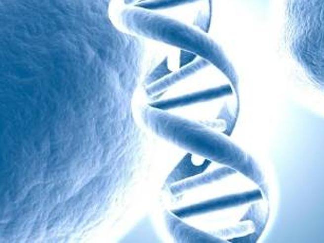 Play for Change Show: evento contro la fibrosi cistica, tanti artisti sul palco