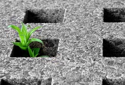 Rapporto Ispra: cementificazione dilaga, fagocitato 20% coste italiane