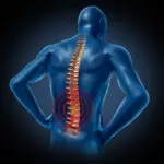 Mal di schiena frequenti? Prendetevela con gli scimpanzè