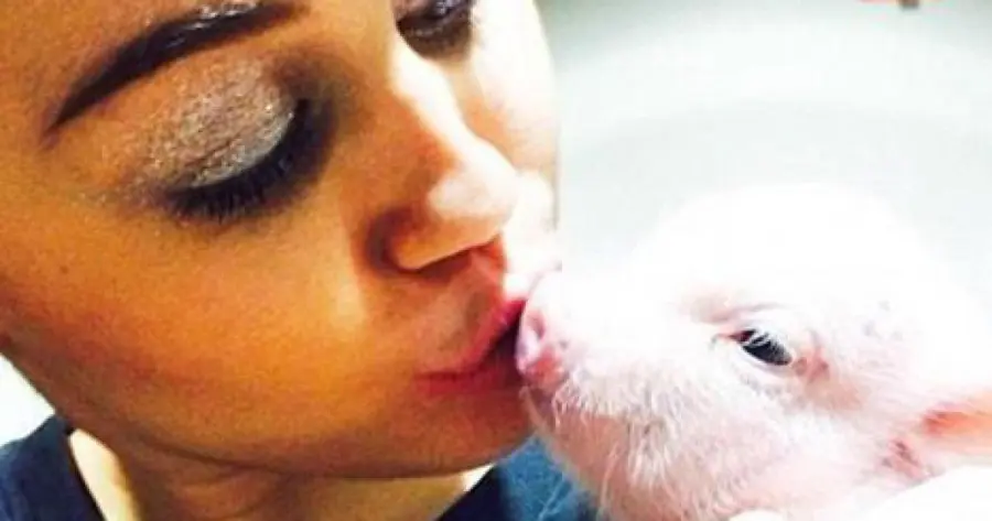 Miley Cyrus e Patrick Schwarzenegger si lasciano: popstar bacia maialino