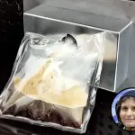 Samantha Cristoforetti sorseggia caffè sulla ISS: Missione Futura sta terminando