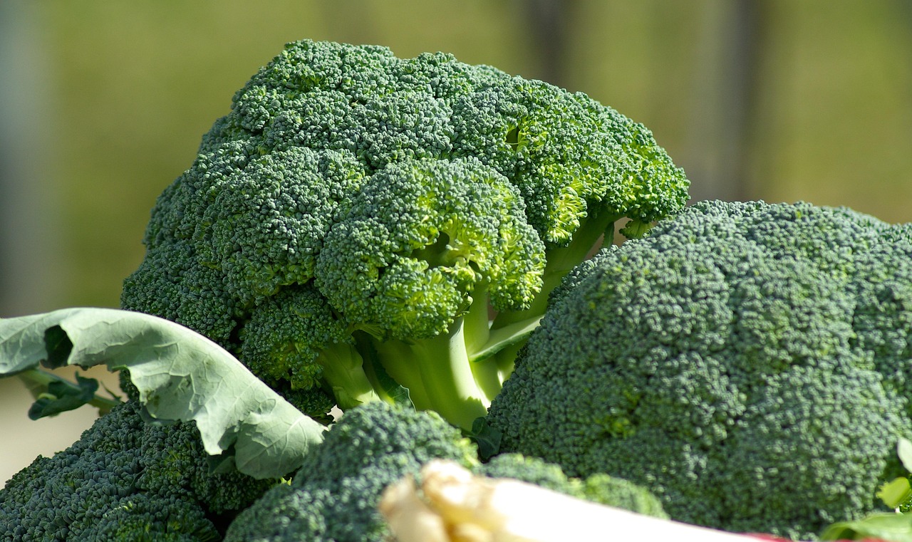 Quando e come coltivare i broccoli: il trucco dei giardinieri esperti che pochi conoscono