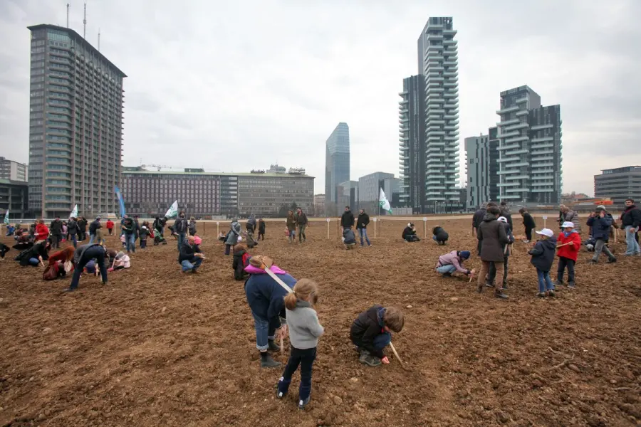 Milano, campo di grano tra i grattacieli: Wheatfield appassiona
