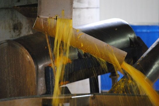 Coca Cola finanzia progetto italiano: energia pulita da 'pastazzo'