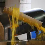 Coca Cola finanzia progetto italiano: energia pulita da 'pastazzo'