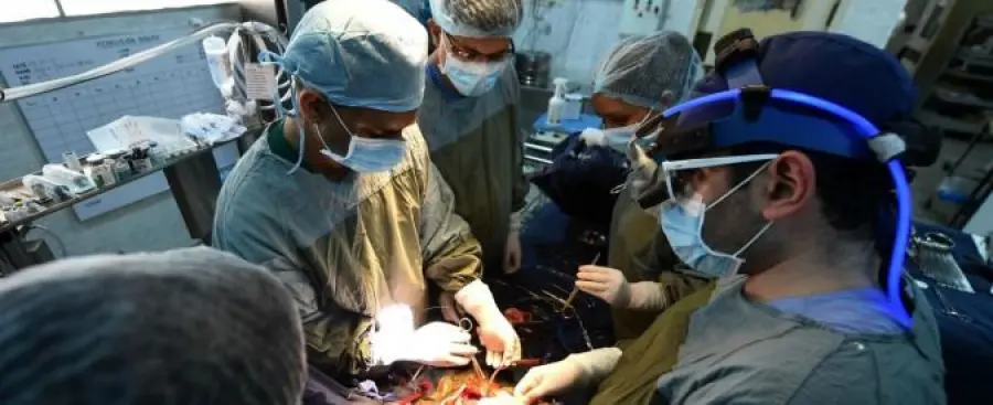 Dona rene a sconosciuta: 'samaritana' innesca ciclo di prelievi e trapianti