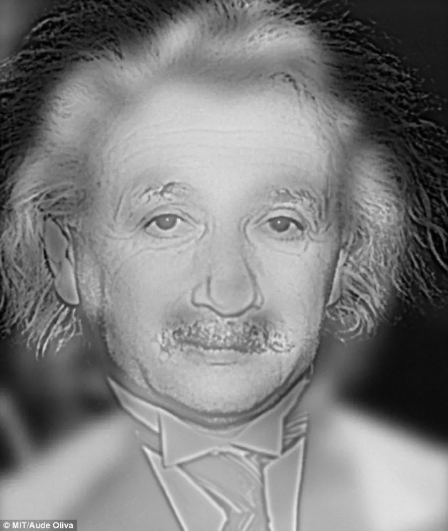 Vedete Marilyn Monroe o Albert Einstein? Test spopola sul web