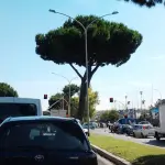 Roma, aggressione in via Cristoforo Colombo: donna finisce in ospedale