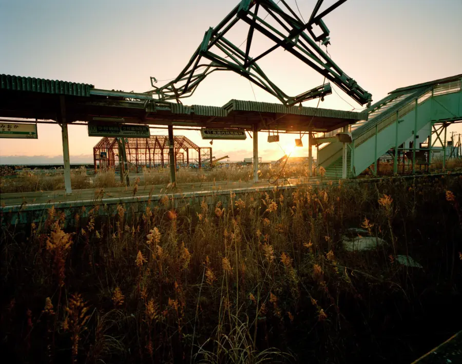Giappone ricorda sciagura Fukushima: cerimonia al Teatro Nazionale di Tokyo