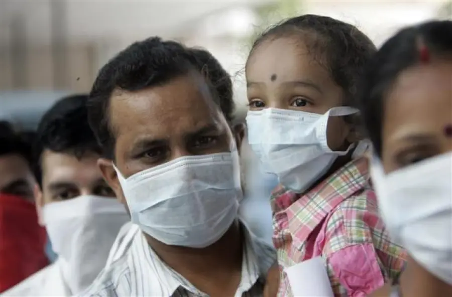 India, allerta influenza suina: 812 morti da inizio anno