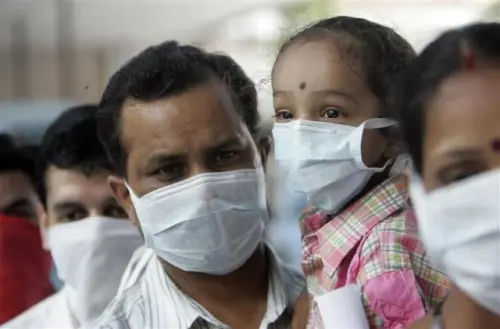 India, allerta influenza suina: 812 morti da inizio anno