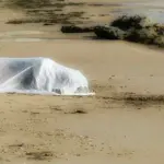 Catania, cadavere 25enne sulla spiaggia: uccisa nel bungalow?