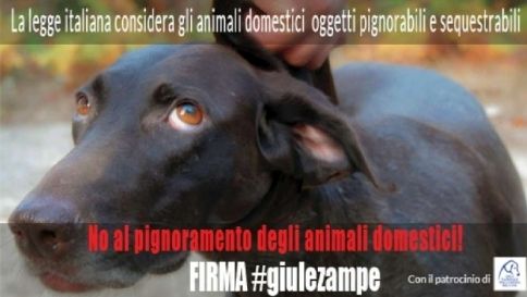 #giulezampe: petizione per evitare pignoramento animali domestici