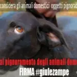 #giulezampe: petizione per evitare pignoramento animali domestici