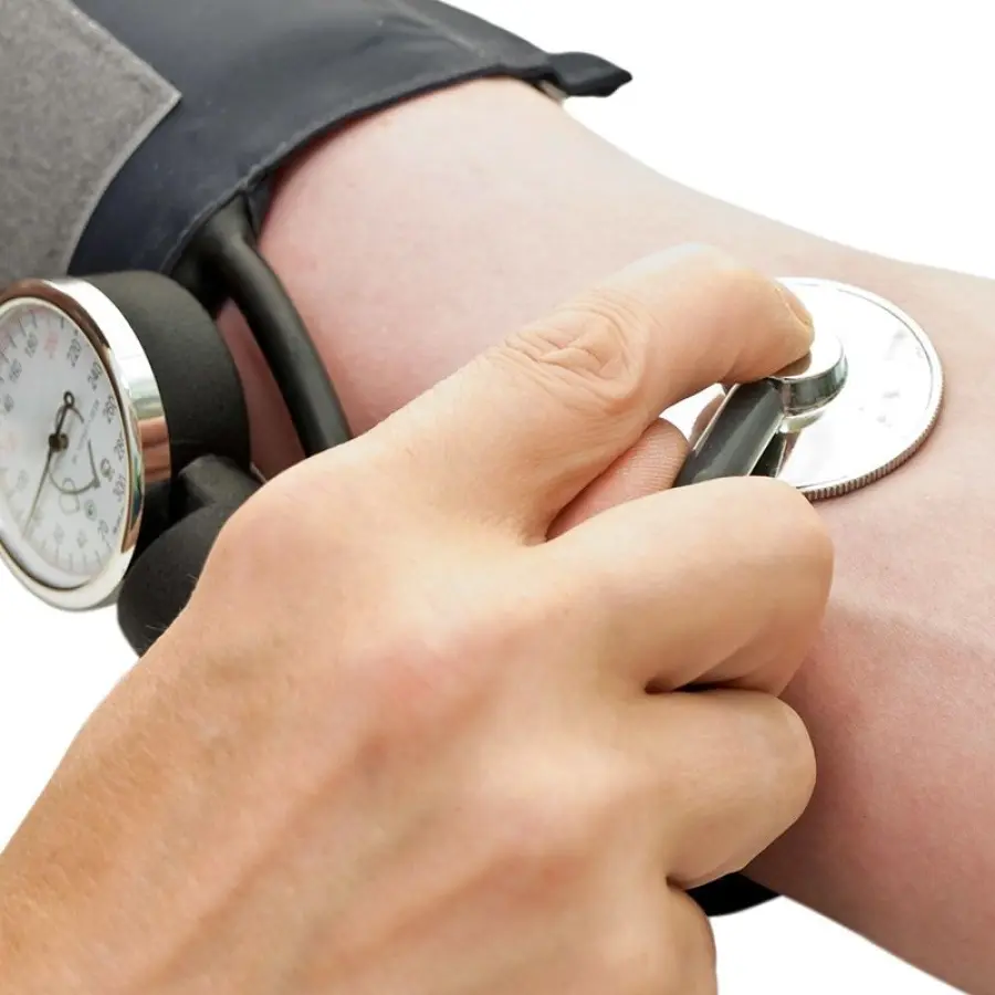 Ipertensione, graffetta può contrastarla: opzione alle cure farmacologiche