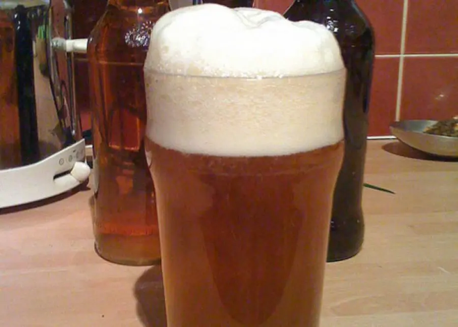 Birra a bassa impronta di carbonio: buona e rispettosa dell'ambiente