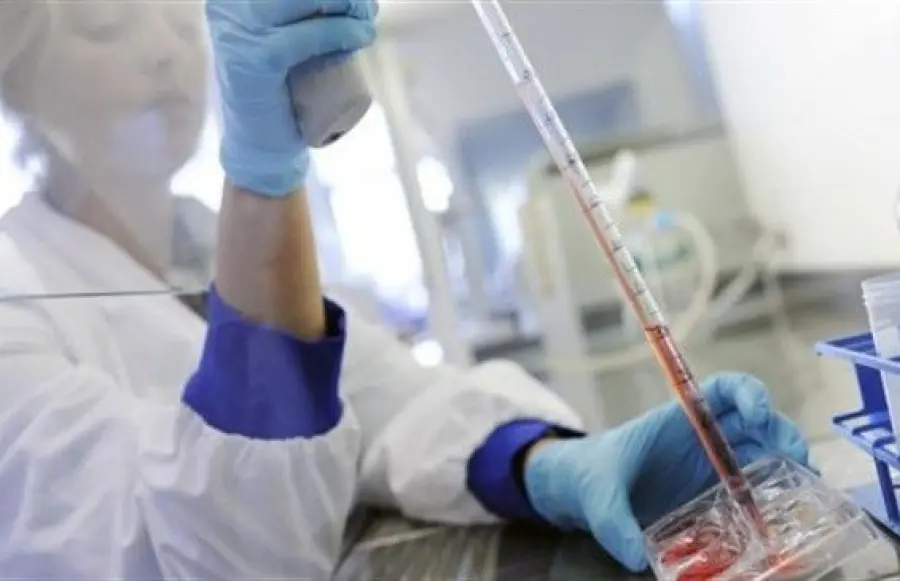 Muscoli creati in laboratorio: si comportano come quelli veri