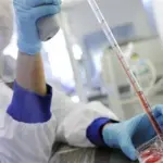 Muscoli creati in laboratorio: si comportano come quelli veri