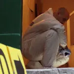 Benevento: 50enne uccisa in casa, fermato presunto omicida