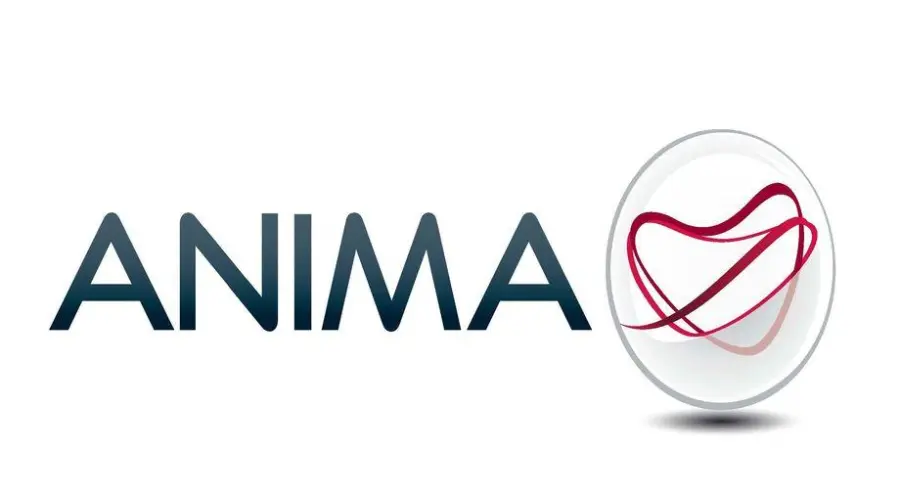 Anima Holding, raccolta dicembre favorevole: 170 milioni di euro